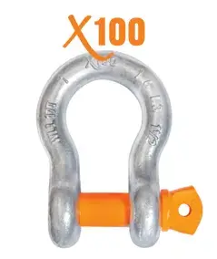 x100 Brand